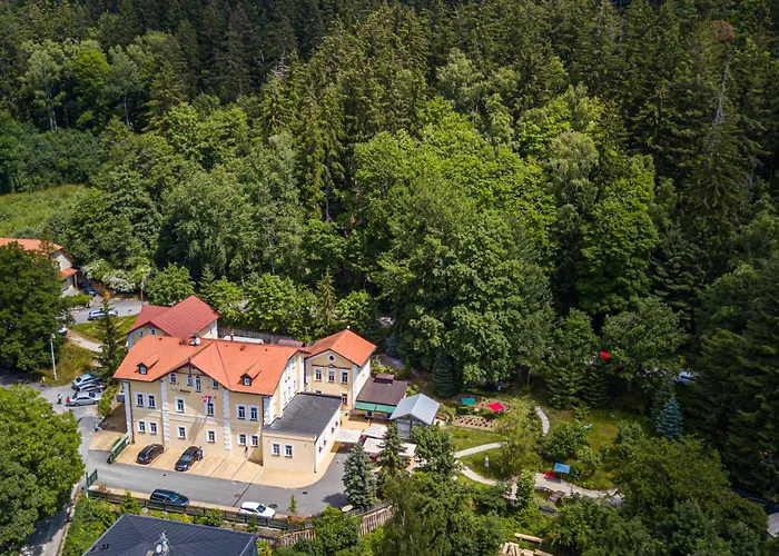 Boutique Swisshouse 4* マリアーンスケー・ラーズニェ