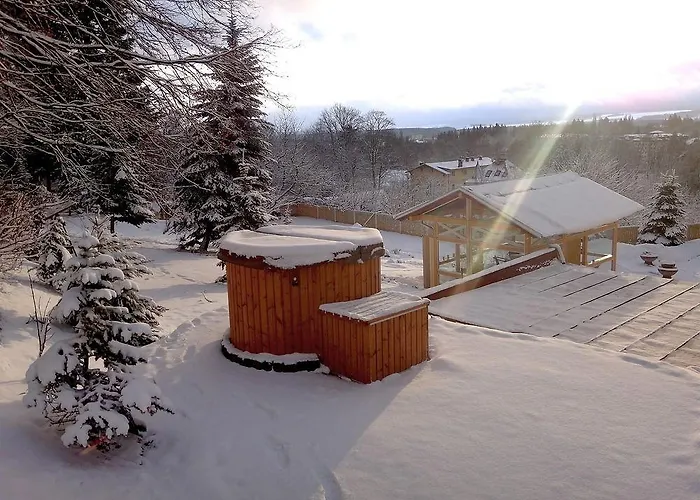 Boutique Swisshouse Марианске-Лазне